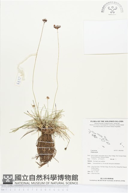 登錄號:BS03066藏品圖，第1張
