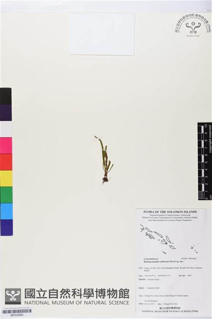 登錄號:BP02666藏品圖，第1張