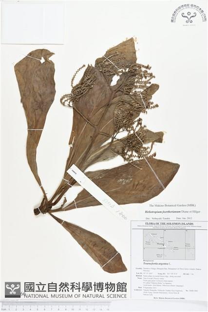 登錄號:BS01666藏品圖，第1張