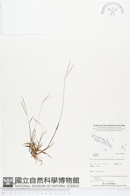 登錄號:BS04666藏品圖，第1張