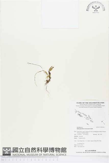 登錄號:BS02166藏品圖，第1張