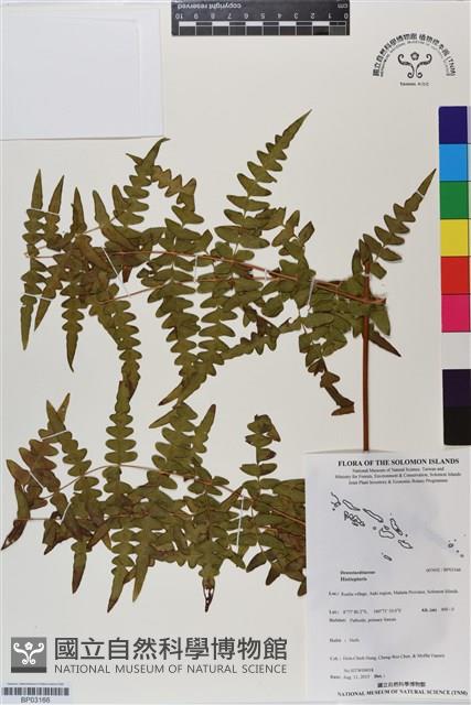 登錄號:BP03166藏品圖，第1張