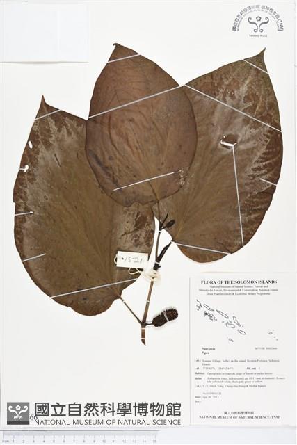 登錄號:BS02466藏品圖，第1張