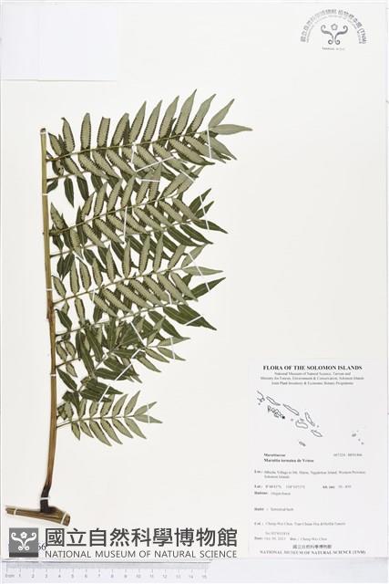 登錄號:BP01466藏品圖，第1張