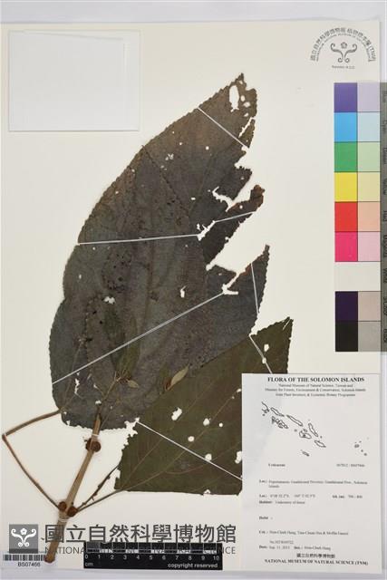 登錄號:BS07466藏品圖，第1張