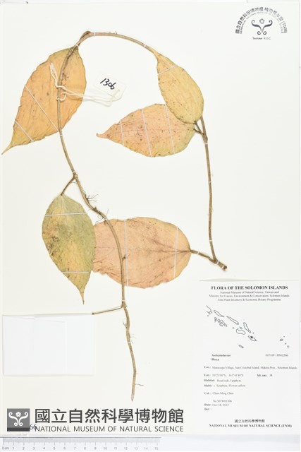 登錄號:BS02266藏品圖，第1張