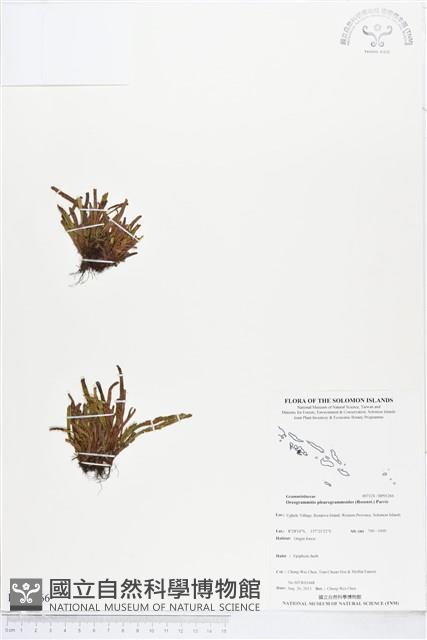 登錄號:BP01266藏品圖，第1張