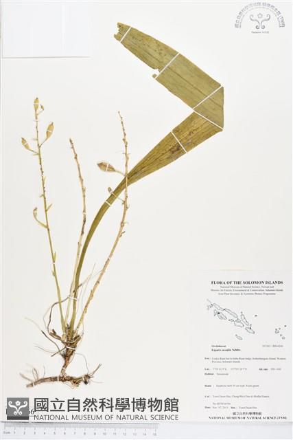 登錄號:BS04266藏品圖，第1張