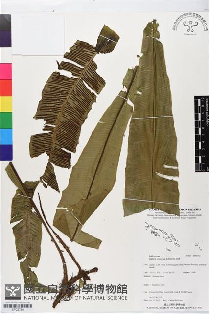 登錄號:BP02766藏品圖，第1張