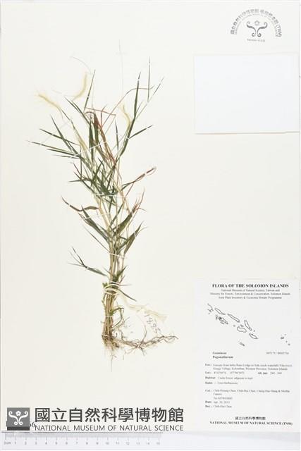 登錄號:BS02766藏品圖，第1張