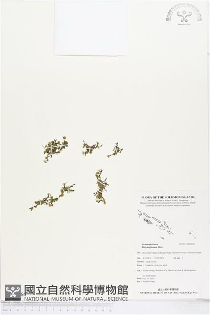 登錄號:BP00766藏品圖，第1張