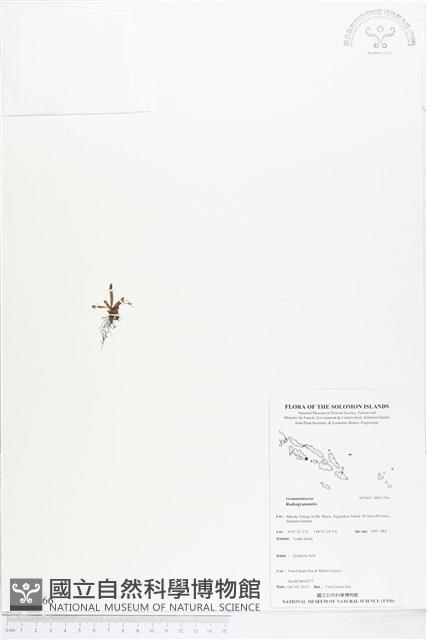 登錄號:BP01766藏品圖，第1張