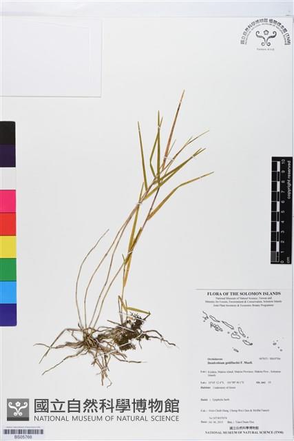 登錄號:BS05766藏品圖，第1張