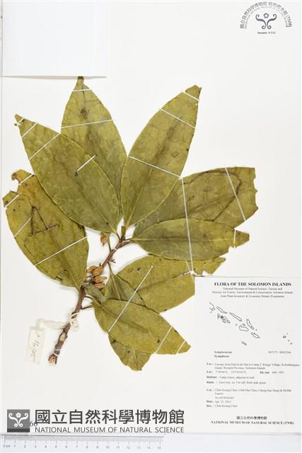 登錄號:BS02566藏品圖，第1張