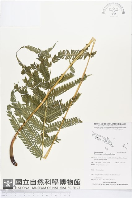 登錄號:BP01566藏品圖，第1張