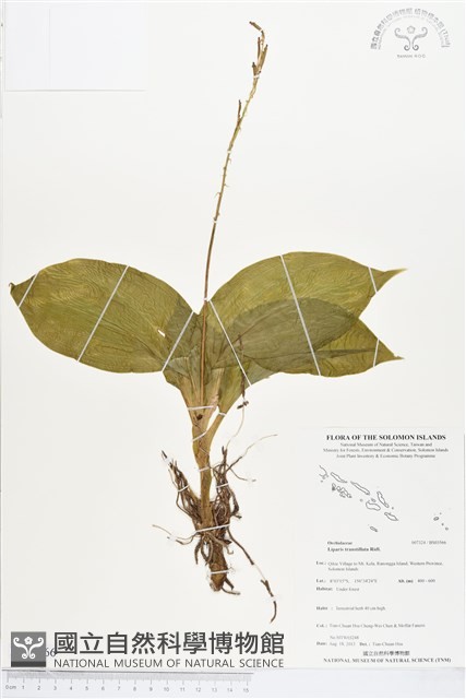 登錄號:BS03566藏品圖，第1張