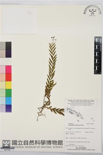 登錄號:BS07566藏品圖，第1張