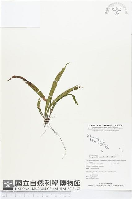 登錄號:BP00966藏品圖，第1張