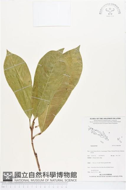 登錄號:BS04966藏品圖，第1張