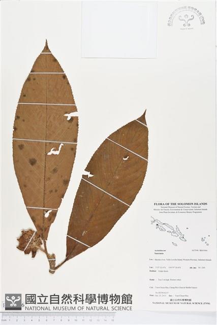 登錄號:BS03966藏品圖，第1張