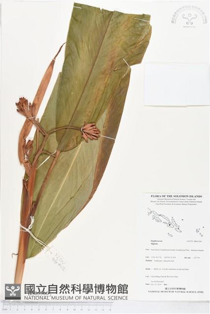 登錄號:BS05366藏品圖，第1張