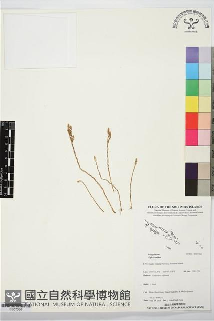 登錄號:BS07366藏品圖，第1張