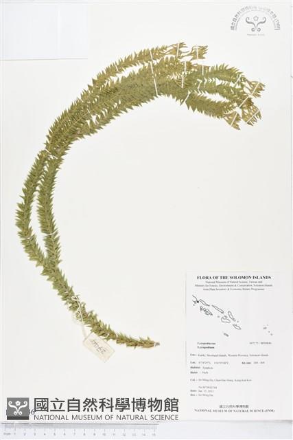 登錄號:BP00846藏品圖，第1張