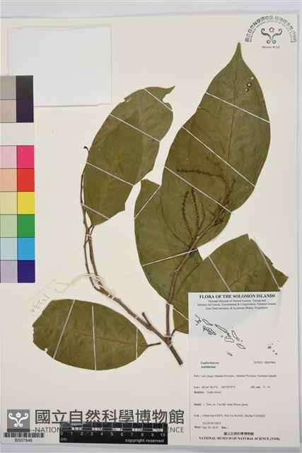 登錄號:BS07846藏品圖，第1張