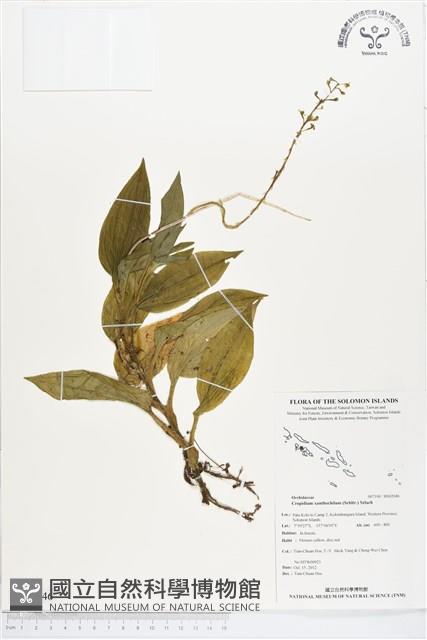 登錄號:BS02046藏品圖，第1張