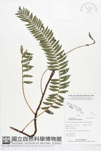 登錄號:BP01046藏品圖，第1張