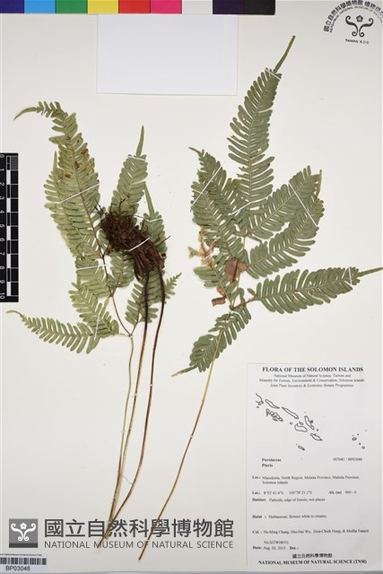 登錄號:BP03046藏品圖，第1張