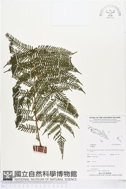 登錄號:BP01646藏品圖，第1張