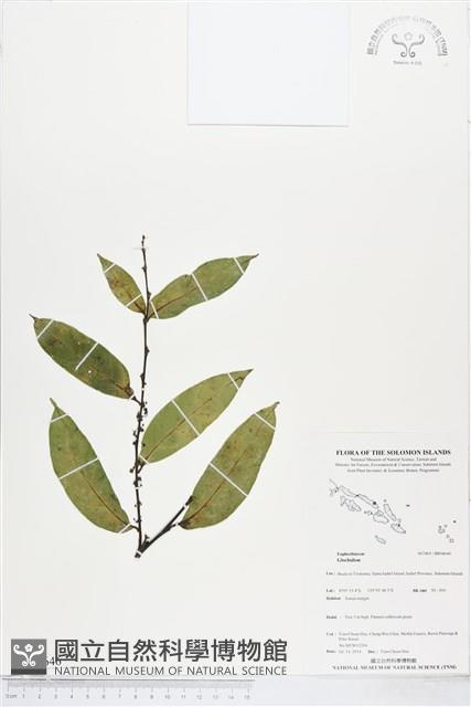 登錄號:BS04646藏品圖，第1張