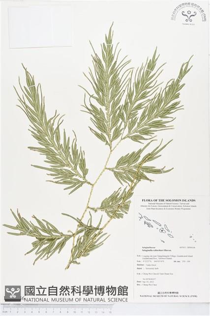 登錄號:BP00146藏品圖，第1張