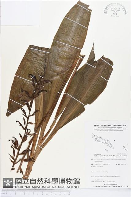 登錄號:BS04146藏品圖，第1張