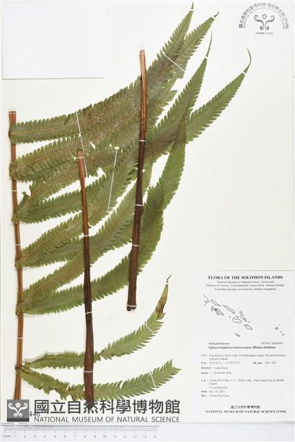 登錄號:BP00446藏品圖，第1張