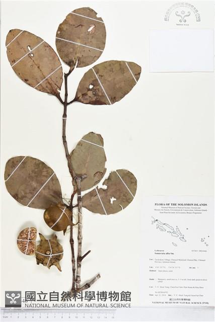 登錄號:BS04446藏品圖，第1張