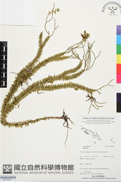 登錄號:BP03446藏品圖，第1張