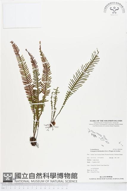 登錄號:BP00246藏品圖，第1張