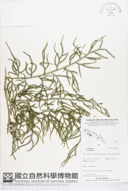 登錄號:BP01246藏品圖，第1張