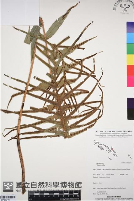 登錄號:BP03246藏品圖，第1張