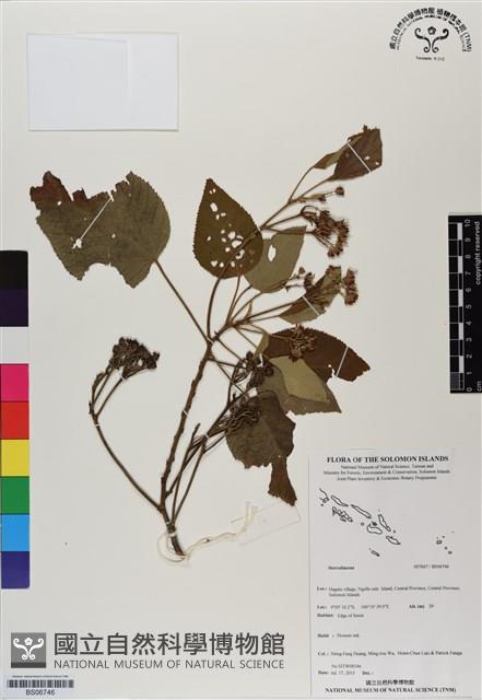 登錄號:BS06746藏品圖，第1張