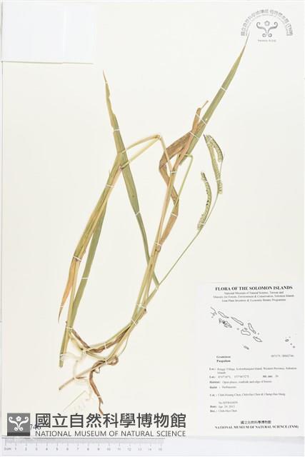 登錄號:BS02746藏品圖，第1張