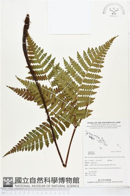 登錄號:BP00746藏品圖，第1張