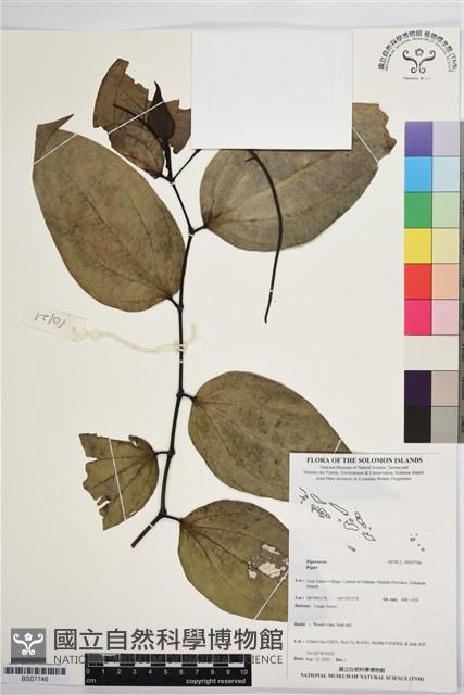 登錄號:BS07746藏品圖，第1張