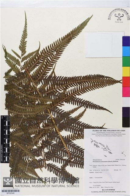 登錄號:BP02546藏品圖，第1張