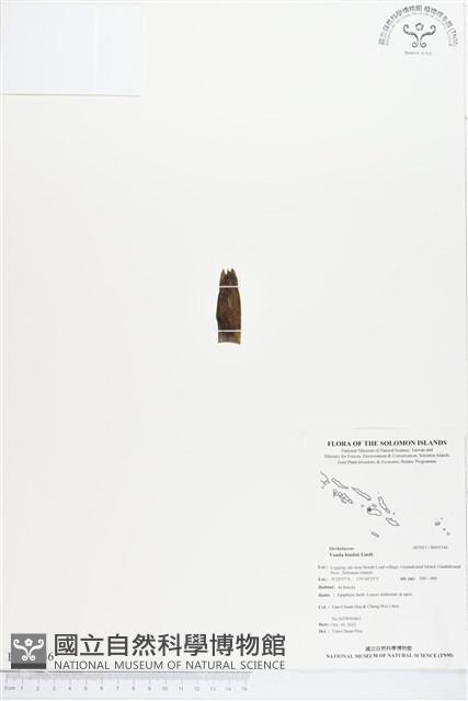 登錄號:BS01546藏品圖，第1張