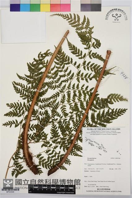 登錄號:BP03546藏品圖，第1張