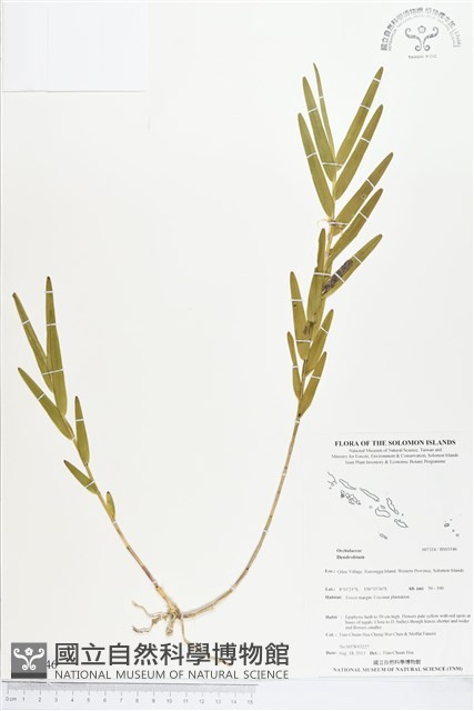 登錄號:BS03546藏品圖，第1張