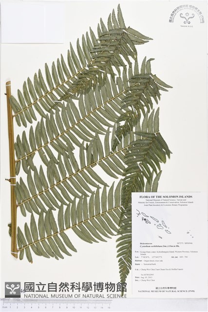 登錄號:BP00946藏品圖，第1張